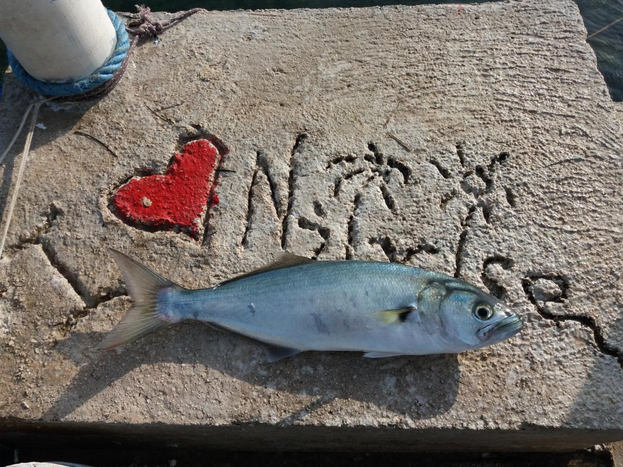 Apartment "I Love Njivice" Herceg Novi Eksteriør bilde